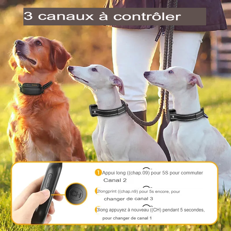 ROJECO-Collier de dressage électrique pour chien