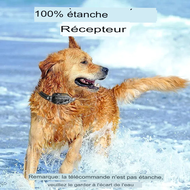 ROJECO-Collier de dressage électrique pour chien