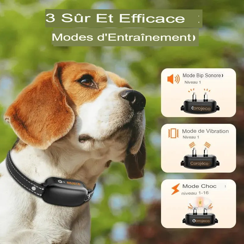 ROJECO-Collier de dressage électrique pour chien