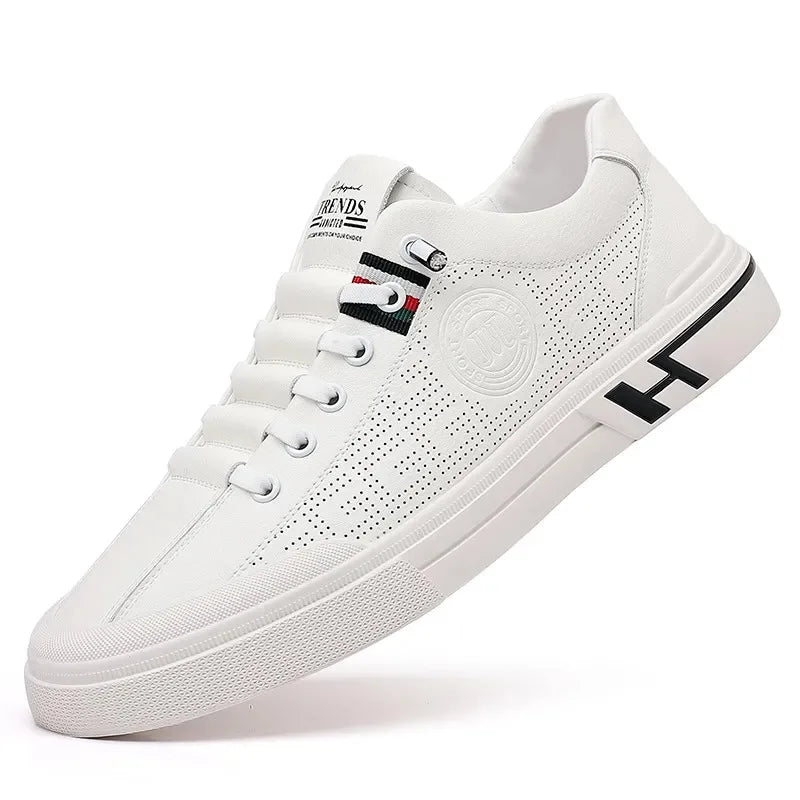 CAVELLI ™ | Chaussures élégantes et confortables